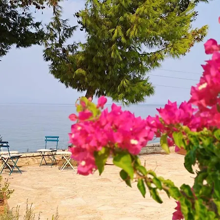 Nama House Arkadiko Chorio