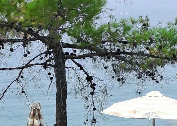 Nama House Tatil Evi